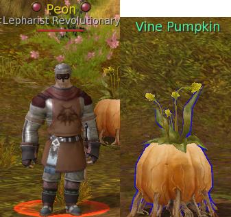 Peon and Vine Pumpkin